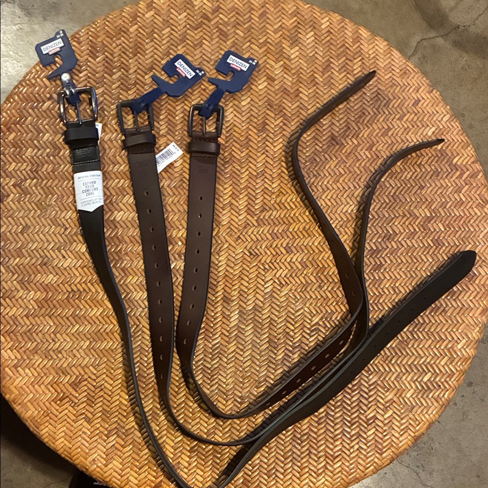 Denizen from Levi's Black and Brown Belt lot